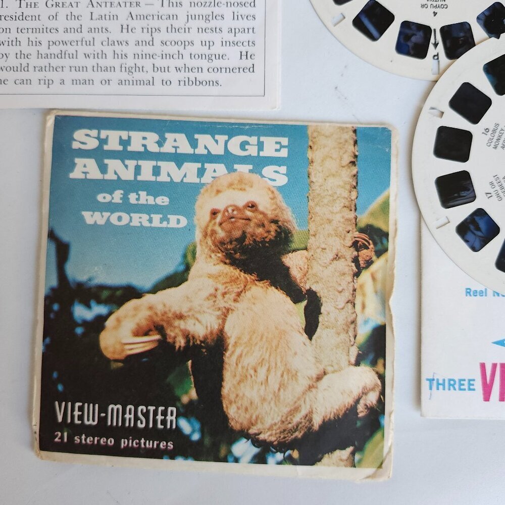 VINTAGE STRANGE ANIMALS of the WORLD View Master Reels Complete ADORABLE SLOTH